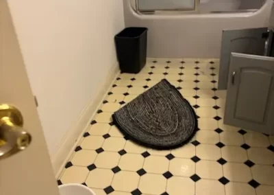 Professional Home Cleaning (1)