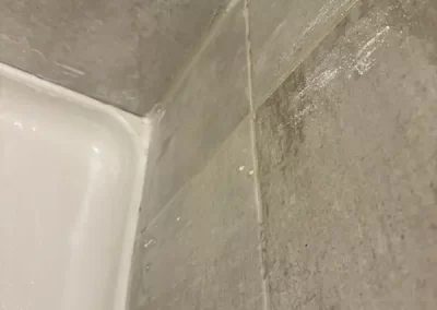 Reliable Home Cleaning (7)