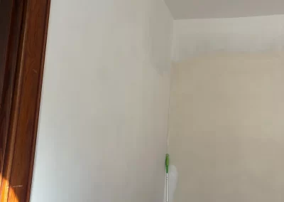 Top House Cleaner (3)